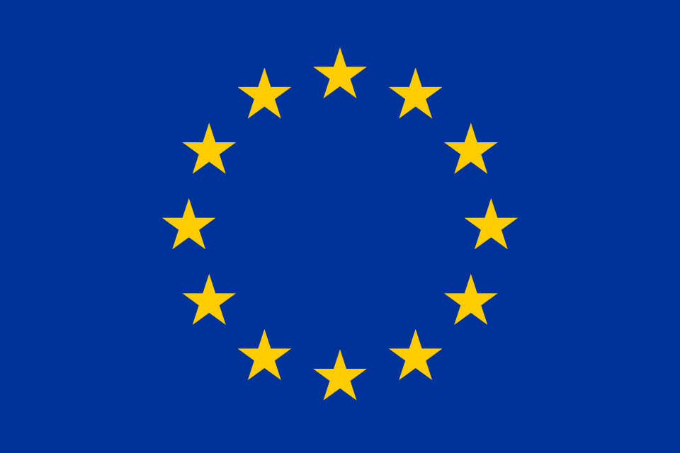 European Union flag